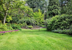 Optimiser l'expérience du jardin à Bruyeres-sur-Oise